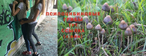 СК Абдулино