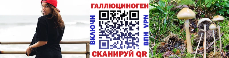 купить наркотики сайты мега ТОР Галлюциногенные грибы MAGIC MUSHROOMS Моршанск