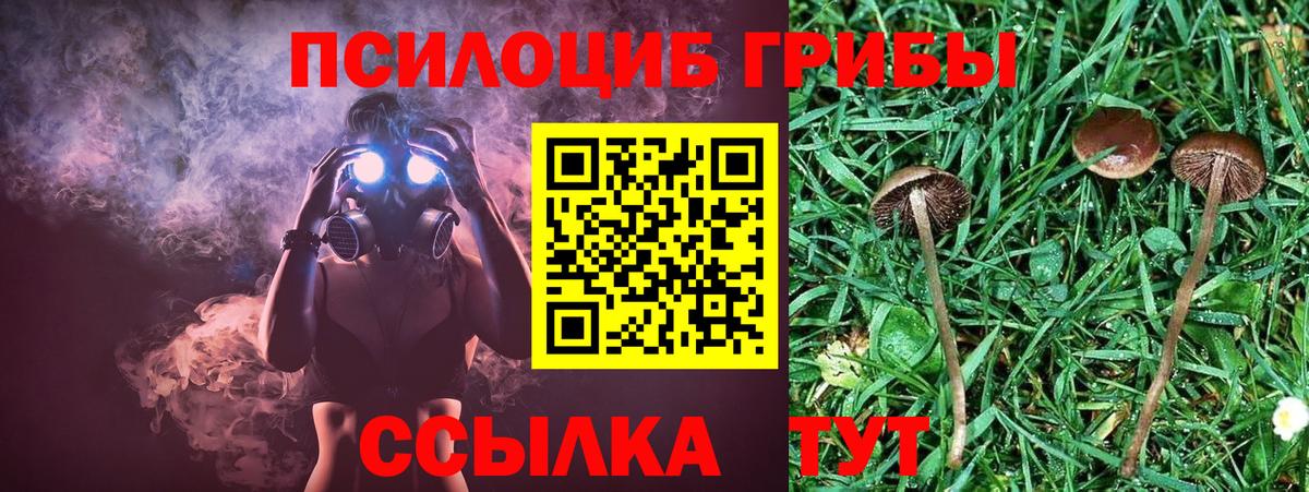 Галлюциногенные грибы MAGIC MUSHROOMS  Псилоцибиновые грибы прущие грибы  Моршанск  Вход с VPN 