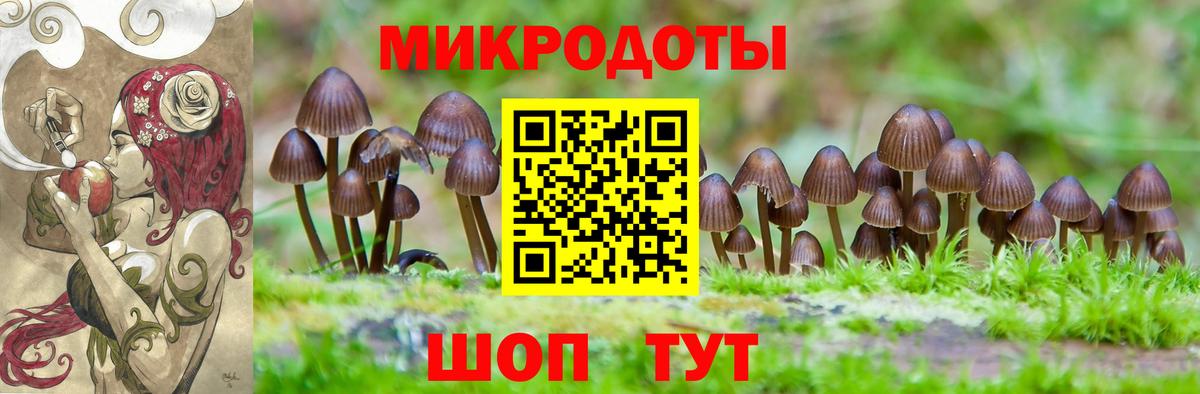 Галлюциногенные грибы мицелий Моршанск